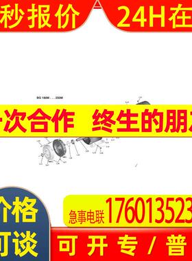 德国ELEKTRA电机1TZ9 系列铝制或铸铁机座