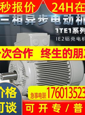 ELEKTRA同款德国LAMMERS电动机7AA/1TE1/1TZ9铸铁卧式机械设备