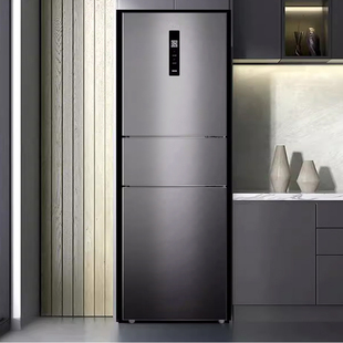 249 248 239WTPE两三门双门家用小户型出租风冷无霜冰箱 美