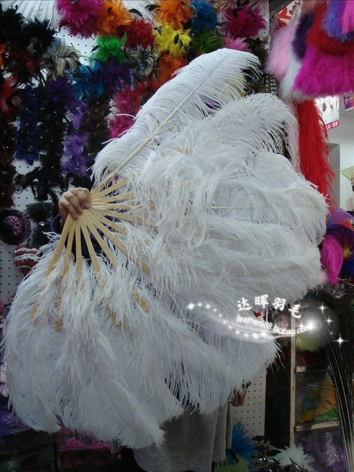 南非进口 10片白色鸵鸟毛扇子 羽毛扇 工艺扇 舞蹈扇 演出