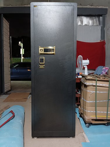高度1.8米，大空间保险柜，大一DAYI品牌，指纹密码锁，功能正常
