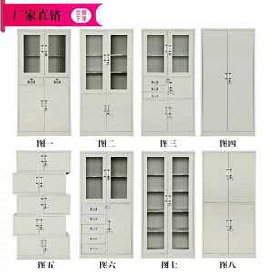 新款深圳办公室文件柜铁皮柜子钢制档案柜资料柜财务凭证柜带锁储