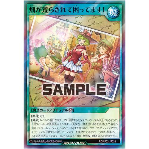 游戏王RD 田地遭殃真伤脑筋！ SR/SER ap02-jp028【布鲁斯卡牌】