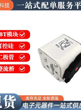 议价巴斯曼熔断器170M5927 170M5928 170M5929 170M5930 170M5931