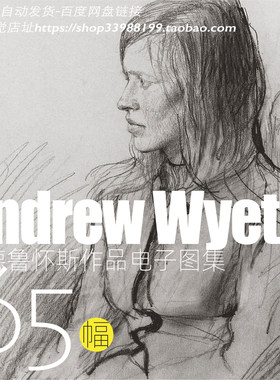 安德鲁怀斯素描 Andrew Wyeth 速写创作手稿作品JPG大图临摹素材