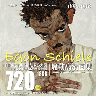 席勒高清油画集素描速写电子图画册人物肖像临摹装饰绘画学习素材