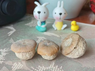 森林女系纯野生风流果DIY天然石头果拍照道具装饰材料蘑菇头植物
