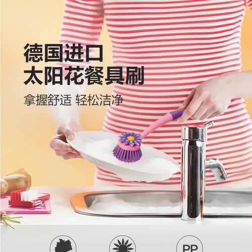 刷锅碗刷Haugbursten德国进口