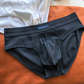 三角裤 薄款 绅士运动休闲纯棉三角裤 贴身三角纯棉弹力薄款