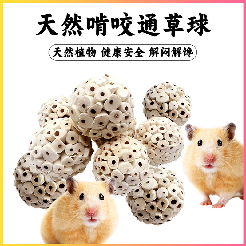 仓鼠天然通草球啃咬玩具磨牙神器下火降火利尿金丝熊龙猫健康零食
