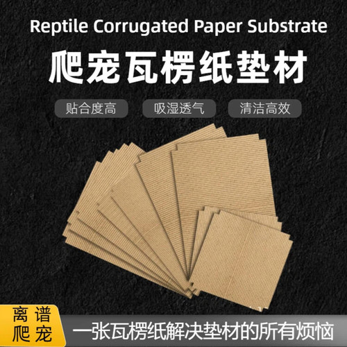 爬宠守宫专用加厚瓦楞纸