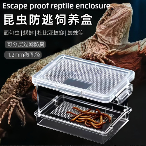 面包虫蟋蟀饲养盒防臭防潮喂食盒