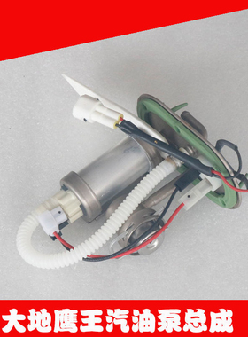 大地鹰王汽油泵DD250G-2N/3N-9C/9A-5F/DD350E-6C400过滤器油泵