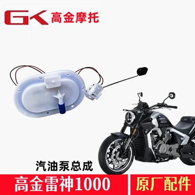 高金雷神V1000汽油泵THOR1000燃油泵电喷压力油泵摩托车原厂配件