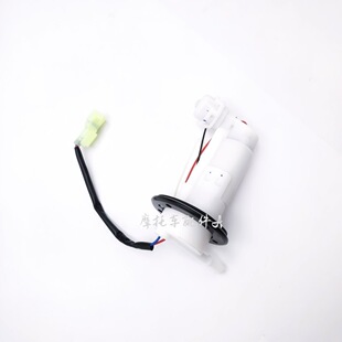 摩托跑车地平线宝雕小忍者永源战隼枭风H2V6R35040国四电喷汽油泵