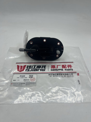 适用新老款黄龙600黄巡赛600追600 QJ600GS-3B/3A/3D燃油泵汽油泵