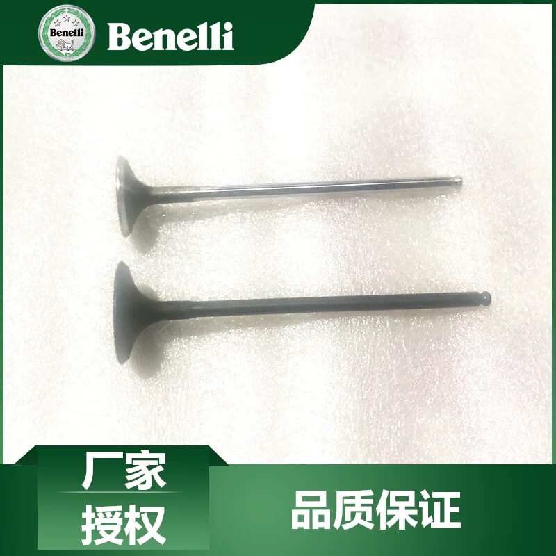 贝纳利黄龙600金鹏502 BJ600 BJ500GS-A BJ300GS进气门排气门