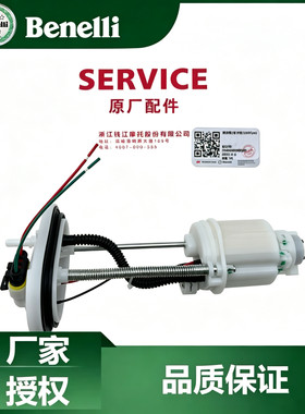 适用贝纳利 钱江银刃250 BJ250T-8汽油泵 滤网油箱泵燃油泵喷油器