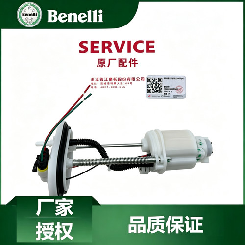 适用贝纳利 钱江银刃250 BJ250T-8汽油泵 滤网油箱泵燃油泵喷油器