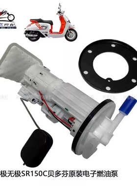 隆鑫LX150T-36无极SR150C贝多芬原装电子燃油泵总成