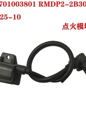 ROJO朗杰电喷高压包点火线圈 RMDP2-2B300A-B25-10