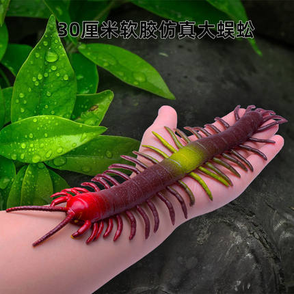 假蜈蚣宠物玩具昆虫动物模型仿真软体恶作剧道具搞怪整人恶搞