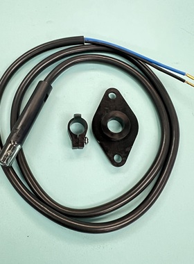 Ignitor Flame Scanner 6639035/Photo resistive detector