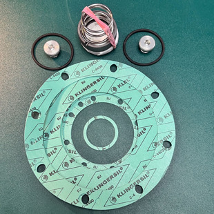 M160 油泵密封套装 LUSTENAU KRAL 210 UED65A