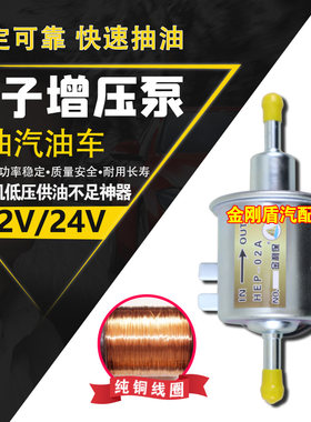 洋马大流量电子燃油泵纯铜泵芯。