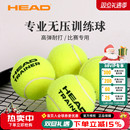 HEAD海德网球Trainer高级无压专业练习球袋装 比赛训练球高弹耐打