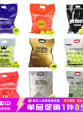 正品邓禄普欧帝尔天龙初学训练无压高弹耐打Wilson特价整袋网球