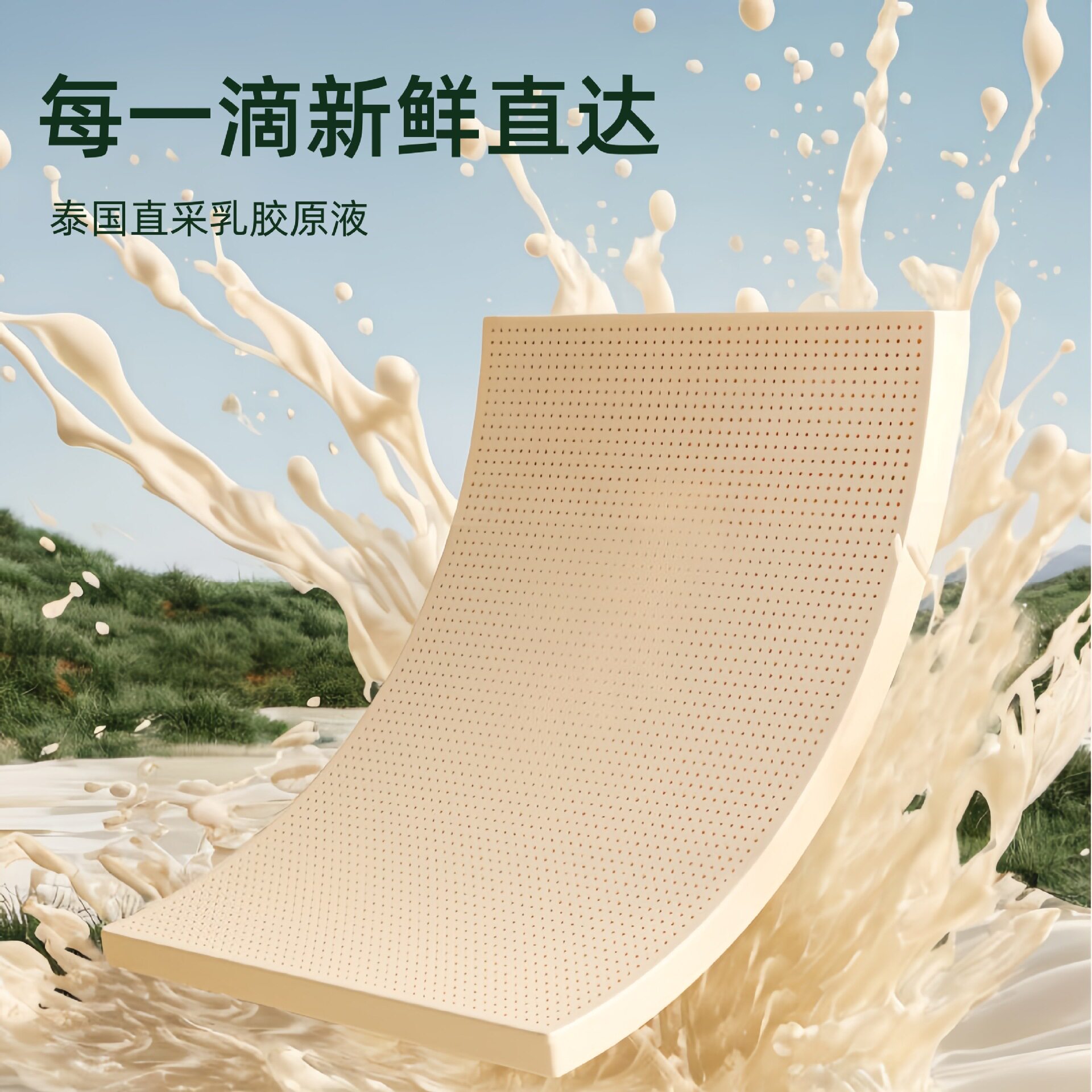 泰国直采环保乳胶床垫榻榻米软垫