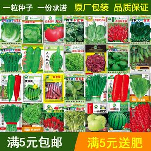 四季蔬菜种子菜种籽四季种香菜黄瓜辣椒青菜萝卜阳台盆栽种籽大全