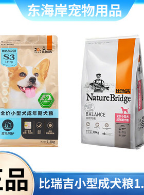 比瑞奇小型犬成犬小型犬