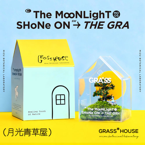 植物苔藓可爱治愈办公桌