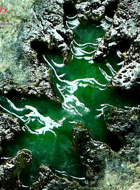 豪8印象Z26300G116莫西沙老坑色料毛料玉石缅甸天然翡翠原石7.1kg