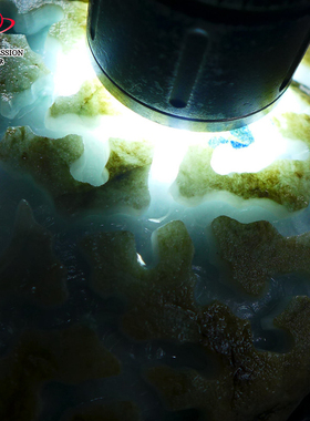 豪8印象Z26030G267淡茄紫大开窗毛料玉石 缅甸天然翡翠原石0.35kg