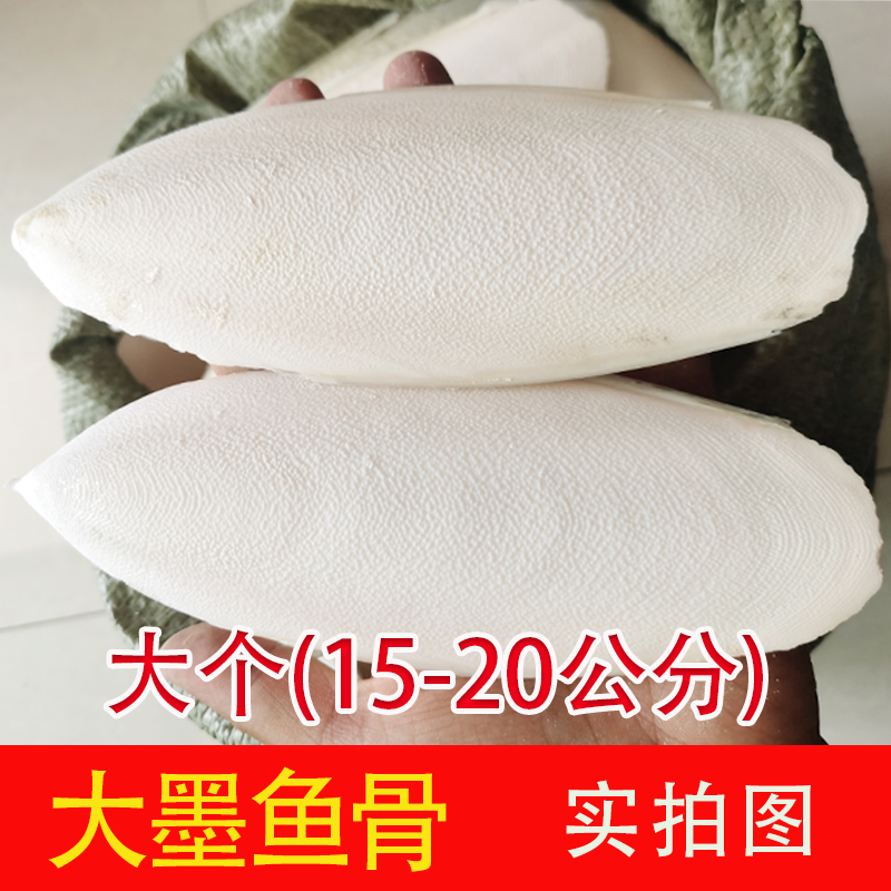 墨鱼骨 中药材海螵蛸乌贼骨整个大块 虎皮牡丹鹦鹉宠物补钙墨鱼骨