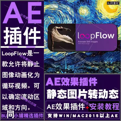 AE静态图片转动态视频效果插件 LoopFlow 中文汉化支持WINMAC2024