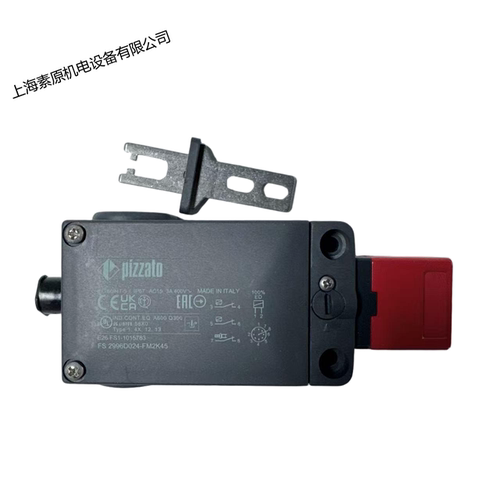 Pizzato意大利原装进口安全门锁FS 2996D024-FM2K45