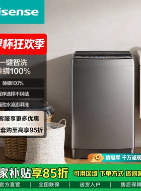 海信洗衣机HB100DE10 全自动波轮 10公斤大容量家用洗衣机 省水