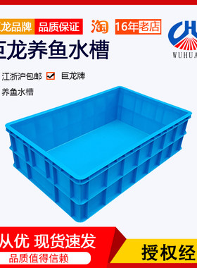巨龙加厚耐用养鱼养殖水槽