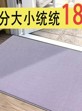 2025款玄关脚垫现代简约风进门地毯除尘防滑地垫入户门垫浅紫色