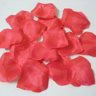 Bougie - Ref 2494083 Image 3