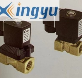 RFS可星L&T星宇电子 二位二通电磁阀 SB116-2B1420 不锈钢阀体