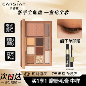 十色眼影综合盘25新款哑光大地色