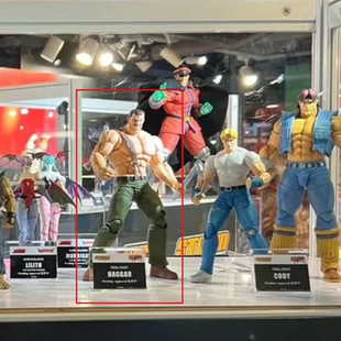 快打旋风 迈克 可动手办 Storm 先行定金 Toys 哈格