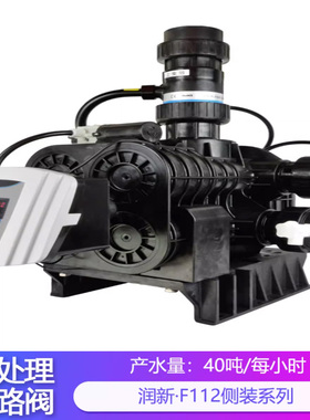 润新全自动过滤阀软化阀40吨53540B F112B1 63640 F112A3 替代F78