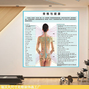 脊柱神经全息解剖高清图壁画脊椎与健康关系医院诊所健身房理疗装