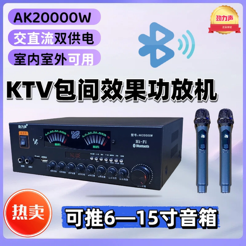 大功率蓝牙功放机带无线话筒